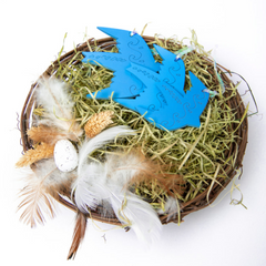 Набір декоративних пташок блакитного кольору "Колискові для Олекси"