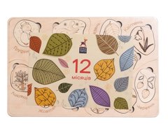 Дерев'яна дитяча вкладка-розмальовка «Дванадцять місяців»