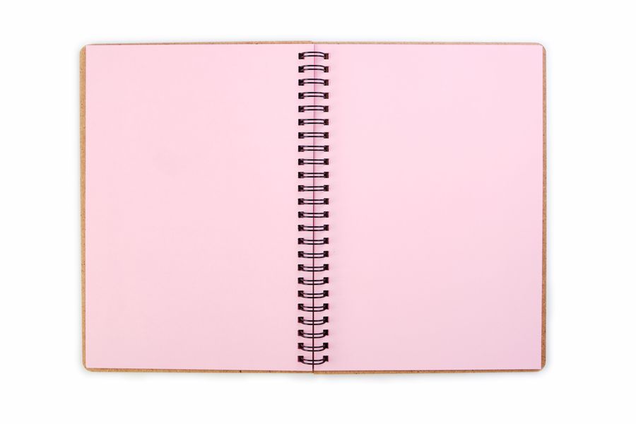 Notebook “Ladybook”